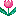 -ĂƗ̔̔͂ق񂾔_webʔ-