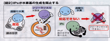 IP6̃K̗}