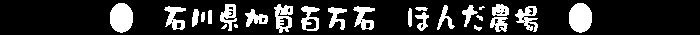 ΐ쌧S΂ق񂾔_