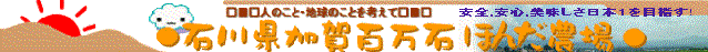 L@āAL@͔|āAʍ͔|āAR_@āANAEMۂȂǂEMiweb̔