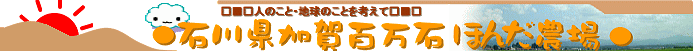 L@͔|āANAdliȂGRiweb̔