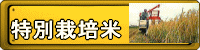ʍ͔|āA_͔|