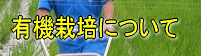 L@͔|ɂ
