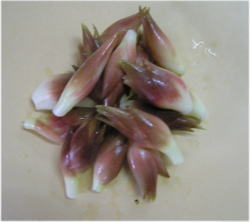 ݂傤