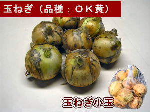 ʂ˂